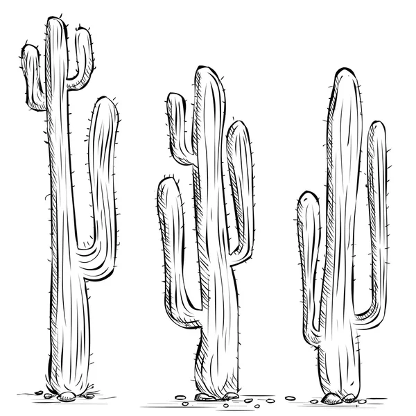 Tři mexické kaktusy — Stockový vektor