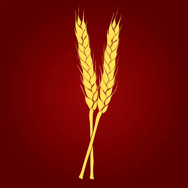 İki altın kulak buğday — Stok Vektör