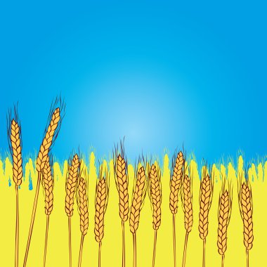 Altın buğday kulakları