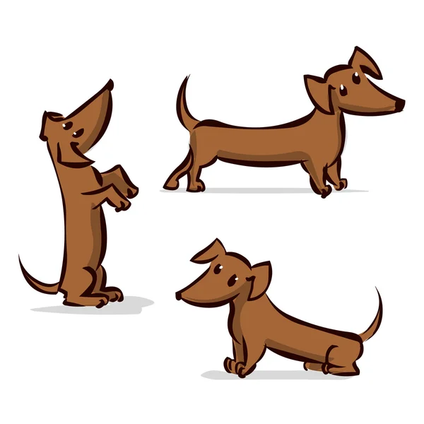 Komik dachshund izole ayarla — Stok Vektör