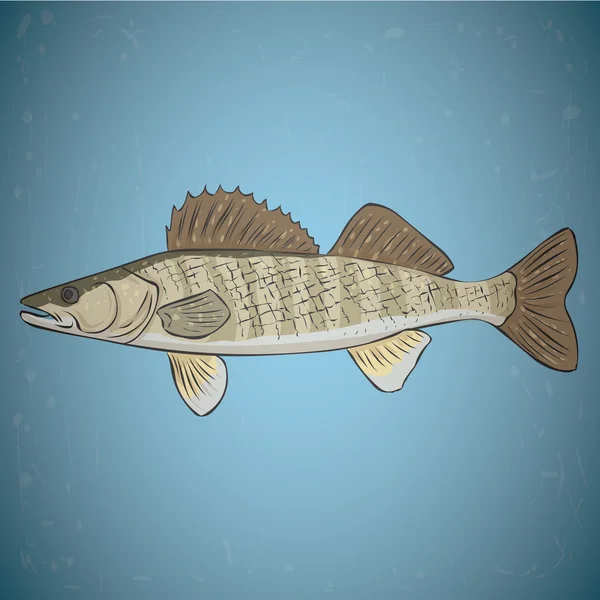 Largemouth Bass geïsoleerd — Stockvector