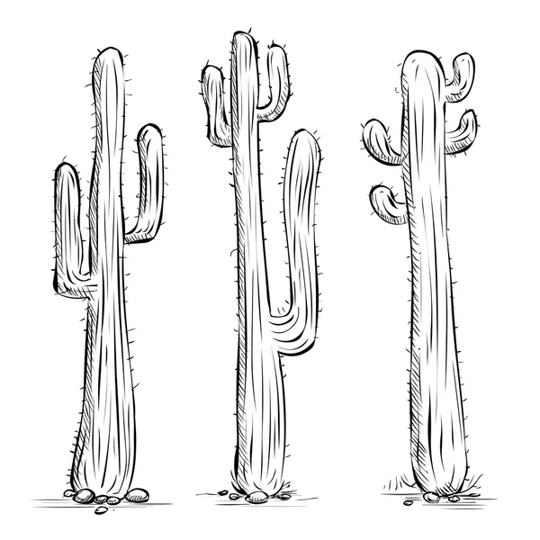 Tres cactus mexicanos — Vector de stock