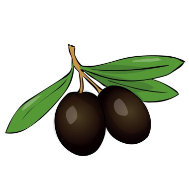 iki siyah zeytin dalı yaprakları ile.