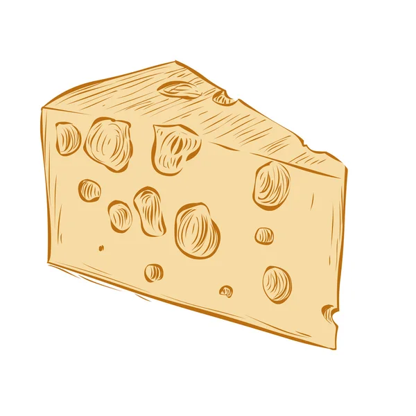 Pedazo de queso dibujado a mano . — Vector de stock