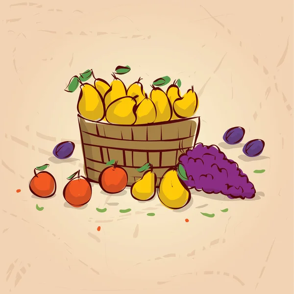 Pears in wooden bucket, grape and apples — Stock Vector