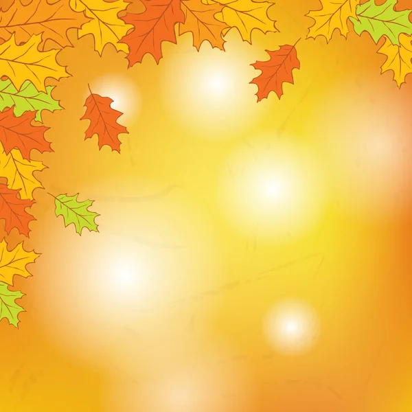 Golden Autumn  leaves — Stock Vector