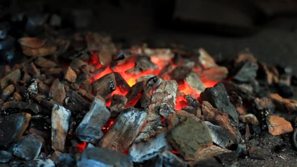 Brasas ardientes en la chimenea — Vídeo de stock