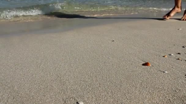 Молодая женщина, идущая по пляжу — стоковое видео