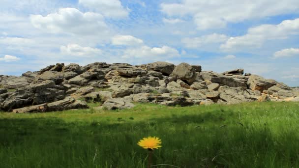 Tumba de piedra en las estepas de Ucrania — Vídeos de Stock