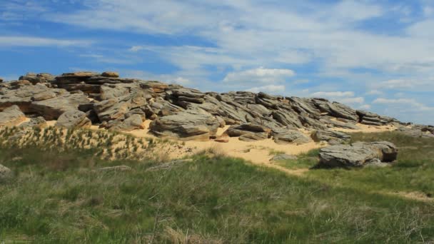 Tumba de piedra en las estepas de Ucrania — Vídeos de Stock