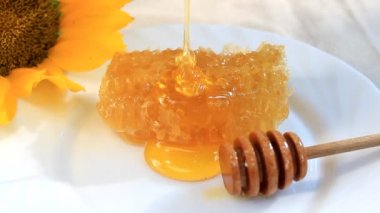 taze bal ile ahşap kepçe ve petek