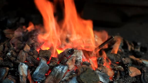 Horno de forja con la barra de metal — Vídeo de stock