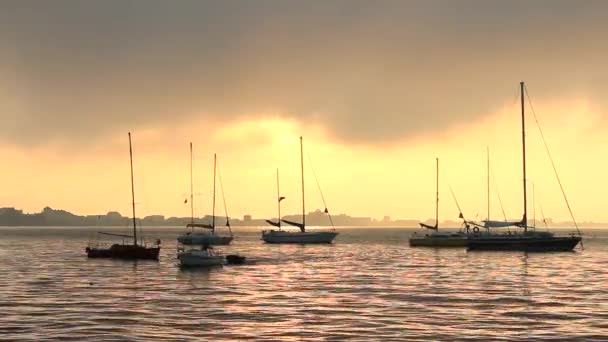 Voiliers dans la baie au lever du soleil — Video