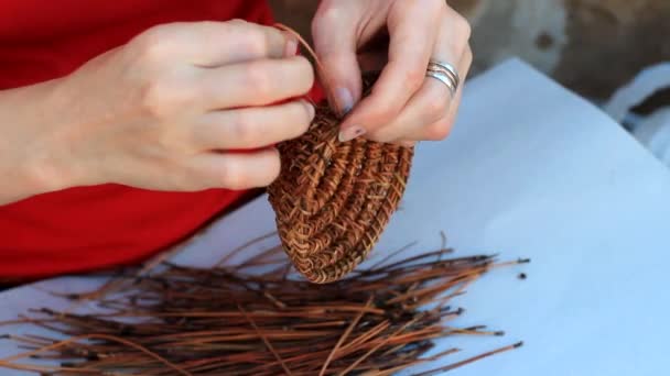 Tecendo um vaso de agulhas de pinheiro — Vídeo de Stock
