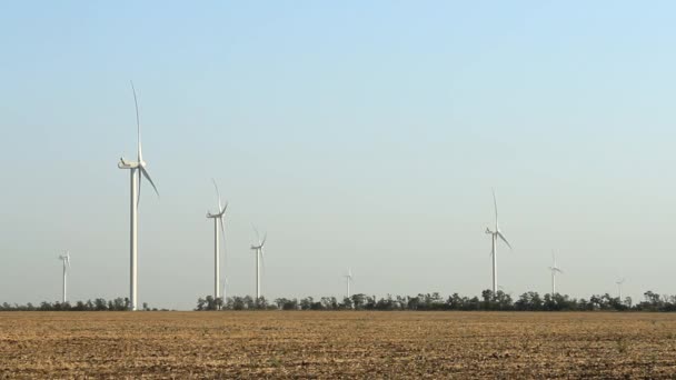 Windräder im Morgengrauen, grüne Energie. Windenergie, Windkraft — Stockvideo