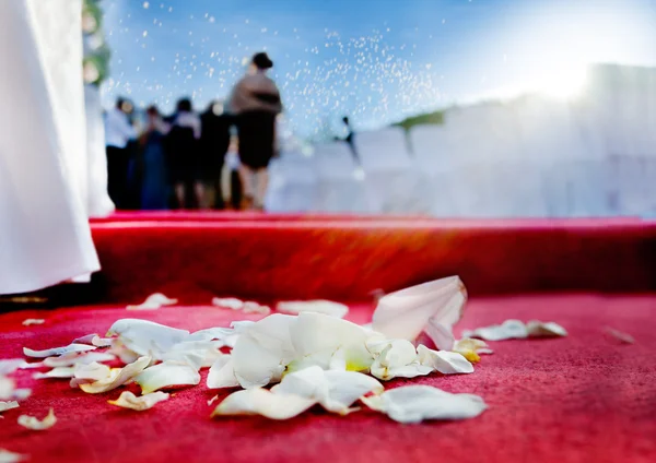 Pétalos de boda de rosas en alfombra roja —  Fotos de Stock