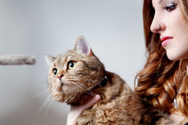 Kedisinin tarafsız arka plan ile güzel kız