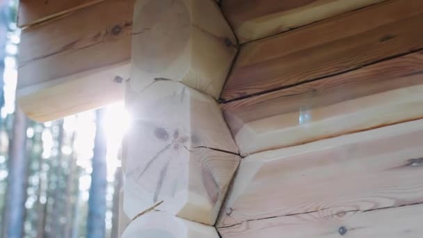 恢复木料 木制房屋的专业修复 — 图库视频影像