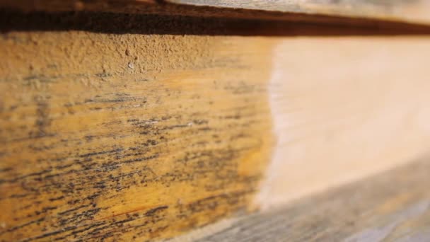 Restaurierung Von Holz Professionelle Restaurierung Eines Holzhauses — Stockvideo