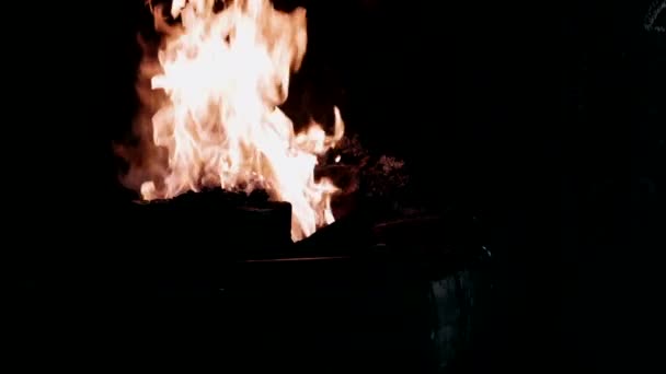 Forger Dans Une Flamme Feu Artisanat Forgeron — Video