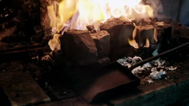 Forger Dans Une Flamme Feu Artisanat Forgeron — Video