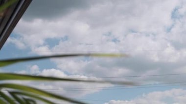 Gökyüzüne karşı narin bitkiler bırakır