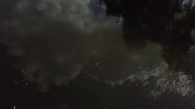 Gökyüzü yansımalı karanlık su