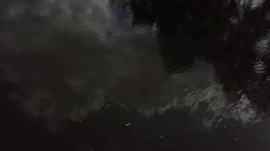 Gökyüzü yansımalı karanlık su