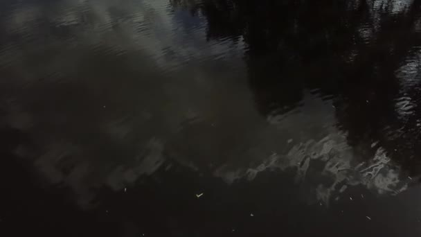 空の反射を伴う暗い水は — ストック動画