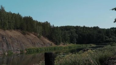 Orman açık mavi gökyüzüne karşı