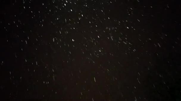 雪在夜里下 真正的雪 降雪隔离在黑色背景上大小雪 孤立的降雪 阿尔法 — 图库视频影像