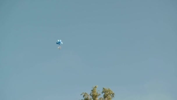 Ballonger Flyger Himlen Sommaren — Stockvideo