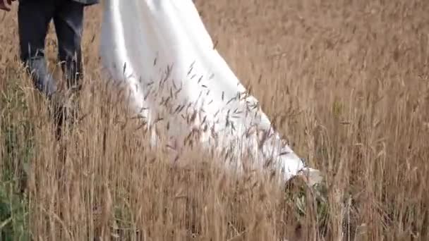 Gros Plan Ourlet Une Robe Mariée Ourlet Robe Mariée Sans — Video