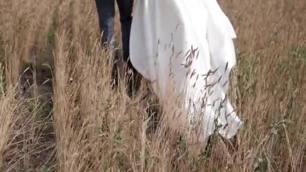 Gros Plan Ourlet Une Robe Mariée Ourlet Robe Mariée Sans — Video