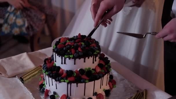 Gâteau Blanc Décoré Baies Chicolade — Video