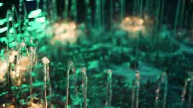 Renkli çiçeklerin ışıltılarında çeşme