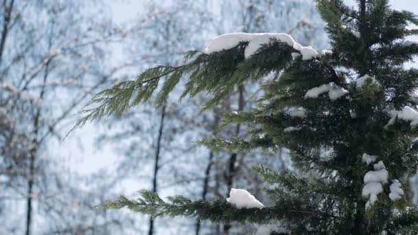 paysage hivernal devant la fenêtre