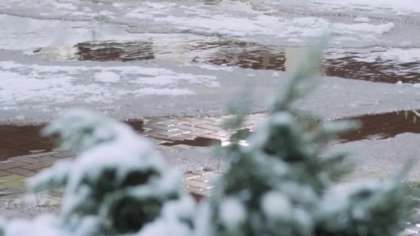 Paysage Hivernal Devant Fenêtre — Video