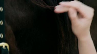 Atı okşayan bir kadının yakın çekimi.