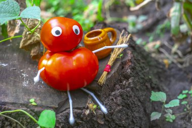 Bahçedeki domateslerden komik bir figür. Sebzelerle dekoratif bir çalışma örneği. Sonbahar hasadı.
