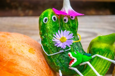 Bahçedeki salatalıklardan komik bir figür. Sebzelerle dekoratif bir çalışma örneği. Sonbahar hasadı.