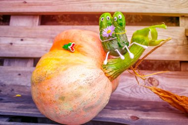 Bahçedeki salatalıklardan komik bir figür. Sebzelerle dekoratif bir çalışma örneği. Sonbahar hasadı.