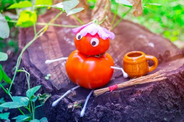 Bahçedeki domateslerden komik bir figür. Sebzelerle dekoratif bir çalışma örneği. Sonbahar hasadı.