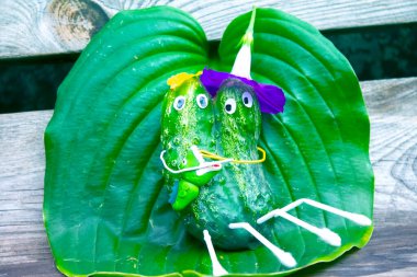 Bahçedeki salatalıklardan komik bir figür. Sebzelerle dekoratif bir çalışma örneği. Sonbahar hasadı.