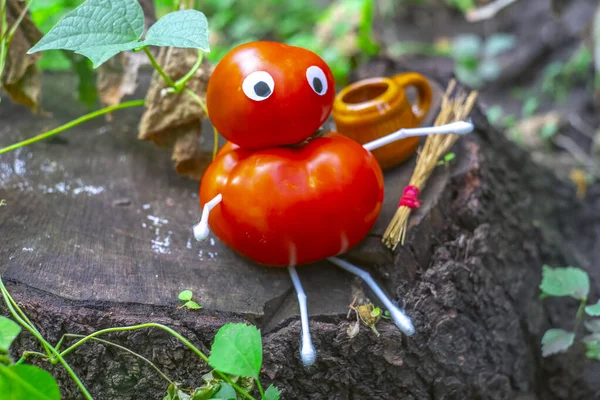 Funny figure from tomatoes in the garden. An example of decorative work with vegetables. Autumn harvest.