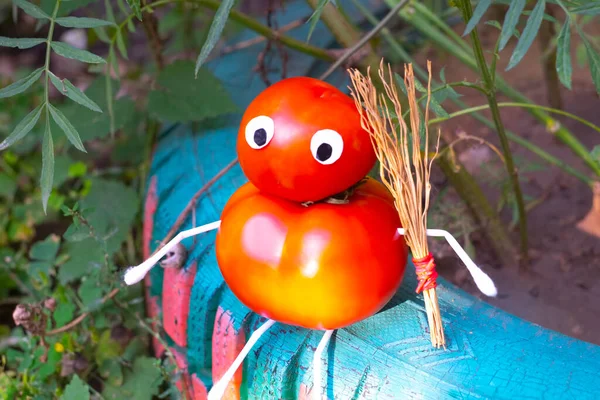 Funny figure from tomatoes in the garden. An example of decorative work with vegetables. Autumn harvest.