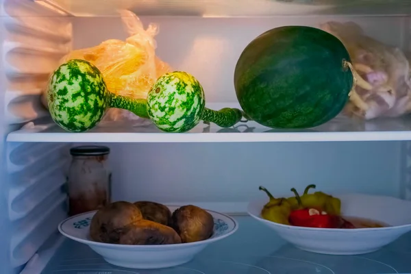 Estantes Refrigerador Frigorífico Abierto Con Diferentes Alimentos Alimentos Cocinados Olla — Foto de Stock