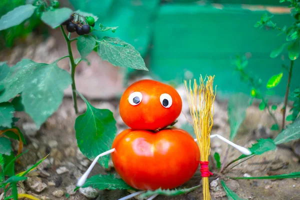 Figura Engraçada Tomates Jardim Exemplo Trabalho Decorativo Com Legumes Colheita — Fotografia de Stock