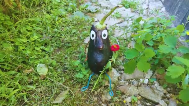 Figur Lucu Dari Terong Kebun Contoh Karya Dekoratif Dengan Sayuran — Stok Video