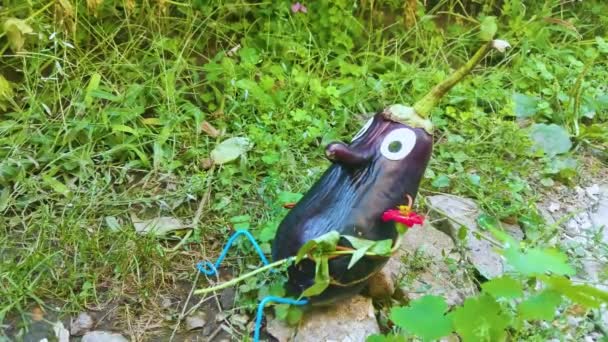 Figur Lucu Dari Terong Kebun Contoh Karya Dekoratif Dengan Sayuran — Stok Video